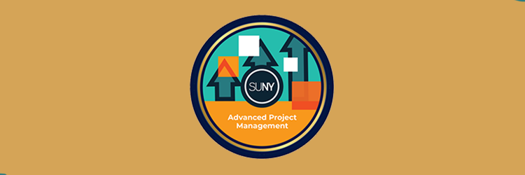 Adv PM  logo