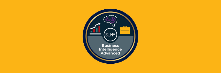 BI Advanced logo