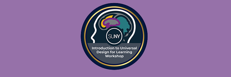 Intro UDL banner logo