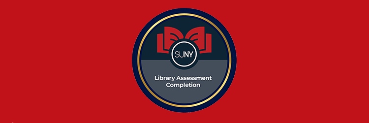 Library Assessment  logo