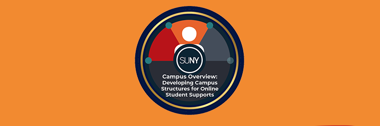 Overview  logo