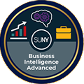 BI Advanced logo